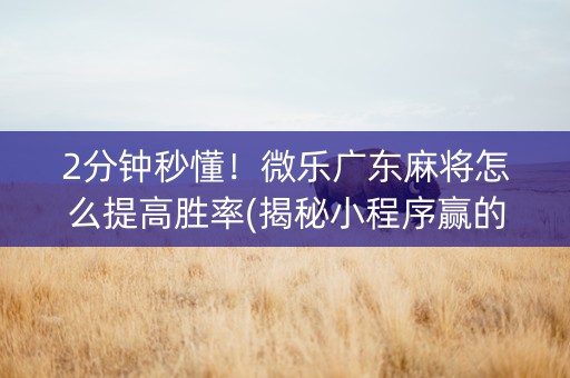 2分钟秒懂！微乐广东麻将怎么提高胜率(揭秘小程序赢的秘诀)