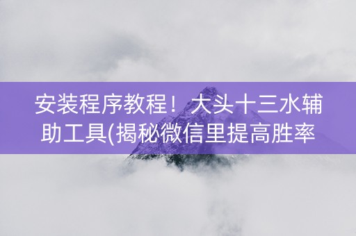 安装程序教程！大头十三水辅助工具(揭秘微信里提高胜率)
