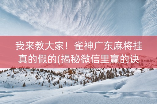 我来教大家！雀神广东麻将挂真的假的(揭秘微信里赢的诀窍)