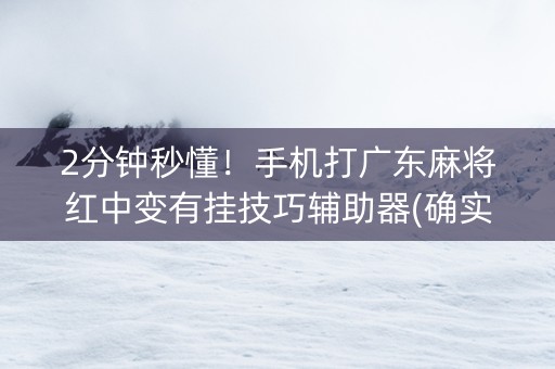 2分钟秒懂！手机打广东麻将红中变有挂技巧辅助器(确实有挂吗)
