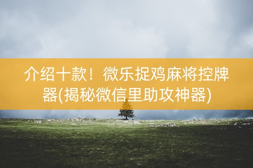 介绍十款！微乐捉鸡麻将控牌器(揭秘微信里助攻神器)