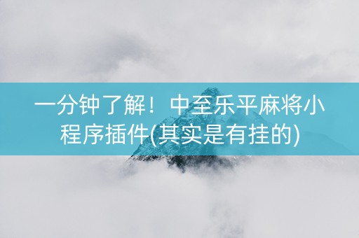 一分钟了解！中至乐平麻将小程序插件(其实是有挂的)