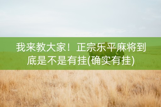 我来教大家！正宗乐平麻将到底是不是有挂(确实有挂)