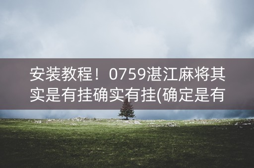 安装教程！0759湛江麻将其实是有挂确实有挂(确定是有挂)