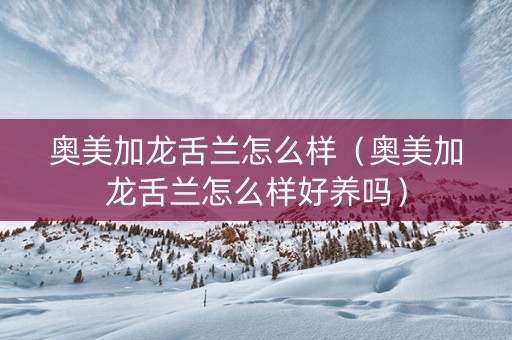奥美加龙舌兰怎么样（奥美加龙舌兰怎么样好养吗）