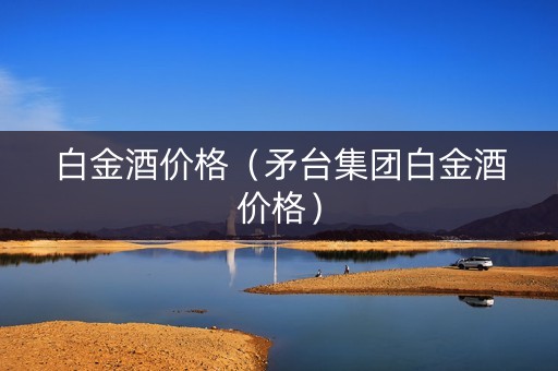 白金酒价格（矛台集团白金酒价格）