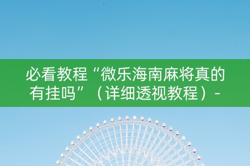 必看教程“微乐海南麻将真的有挂吗”（详细透视教程）-哔哩哔哩