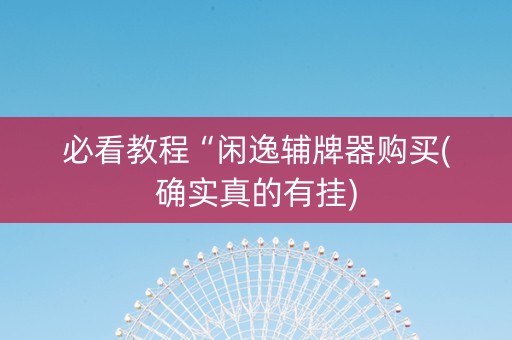 必看教程“闲逸辅牌器购买(确实真的有挂)