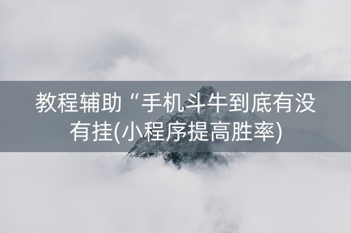 教程辅助“手机斗牛到底有没有挂(小程序提高胜率)