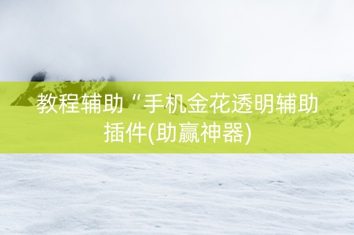 教程辅助“手机金花透明辅助插件(助赢神器)