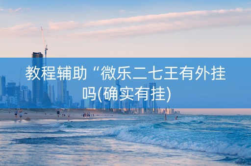 教程辅助“微乐二七王有外挂吗(确实有挂)