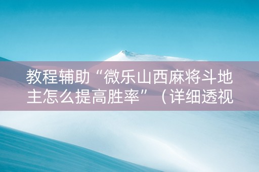 教程辅助“微乐山西麻将斗地主怎么提高胜率”（详细透视教程）-哔哩哔哩