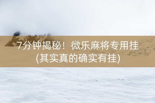 7分钟揭秘！微乐麻将专用挂(其实真的确实有挂)