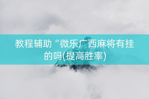 教程辅助“微乐广西麻将有挂的吗(提高胜率)