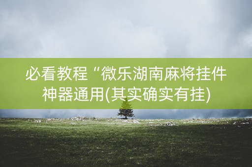 必看教程“微乐湖南麻将挂件神器通用(其实确实有挂)