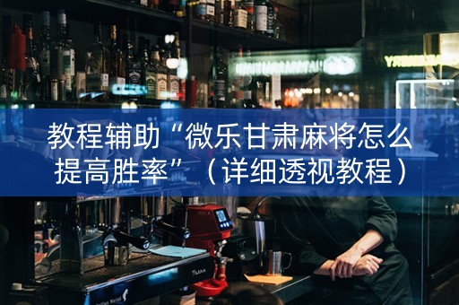 教程辅助“微乐甘肃麻将怎么提高胜率”（详细透视教程）-哔哩哔哩