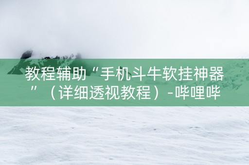 教程辅助“手机斗牛软挂神器”（详细透视教程）-哔哩哔哩