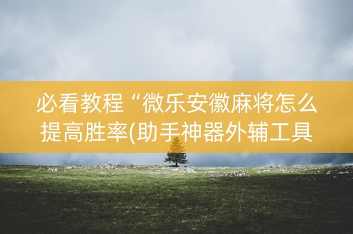 必看教程“微乐安徽麻将怎么提高胜率(助手神器外辅工具)
