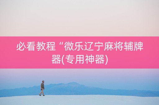 必看教程“微乐辽宁麻将辅牌器(专用神器)