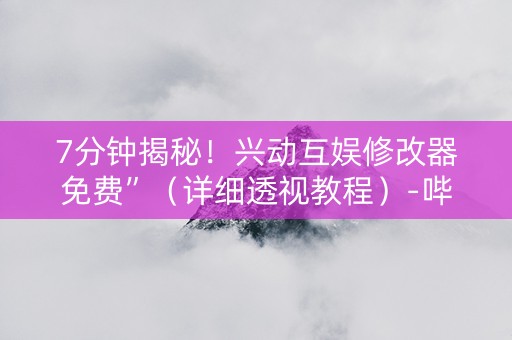 7分钟揭秘！兴动互娱修改器免费”（详细透视教程）-哔哩哔哩