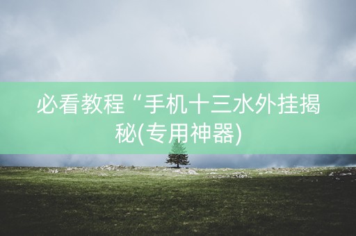 必看教程“手机十三水外挂揭秘(专用神器)