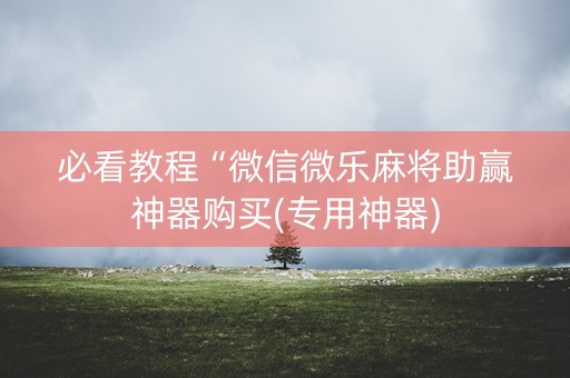 必看教程“微信微乐麻将助赢神器购买(专用神器)