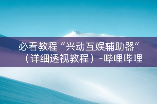 必看教程“兴动互娱辅助器”（详细透视教程）-哔哩哔哩