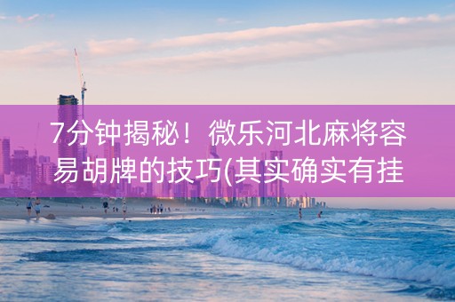7分钟揭秘！微乐河北麻将容易胡牌的技巧(其实确实有挂)
