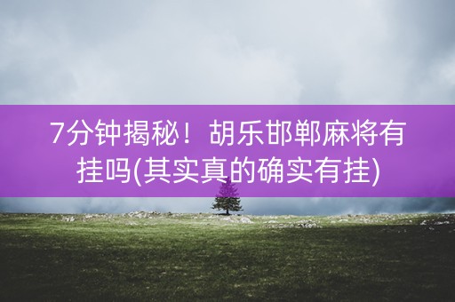 7分钟揭秘！胡乐邯郸麻将有挂吗(其实真的确实有挂)