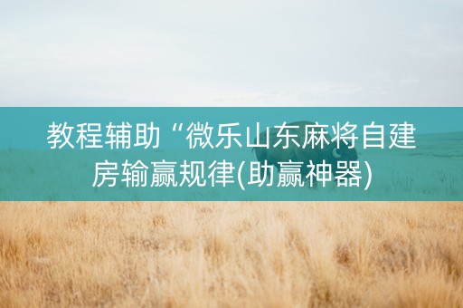 教程辅助“微乐山东麻将自建房输赢规律(助赢神器)