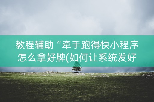 教程辅助“牵手跑得快小程序怎么拿好牌(如何让系统发好牌)