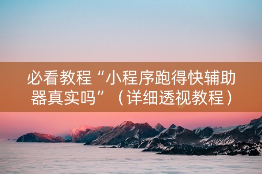 必看教程“小程序跑得快辅助器真实吗”（详细透视教程）-哔哩哔哩
