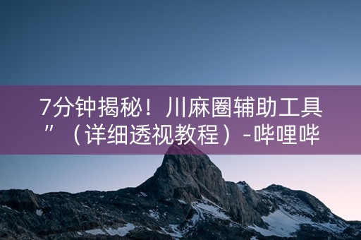 7分钟揭秘！川麻圈辅助工具”（详细透视教程）-哔哩哔哩