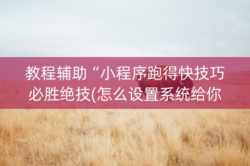 教程辅助“小程序跑得快技巧必胜绝技(怎么设置系统给你好牌)