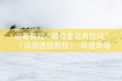 必看教程“微信金花有挂吗”（详细透视教程）-哔哩哔哩