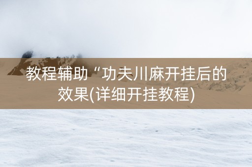 教程辅助“功夫川麻开挂后的效果(详细开挂教程)