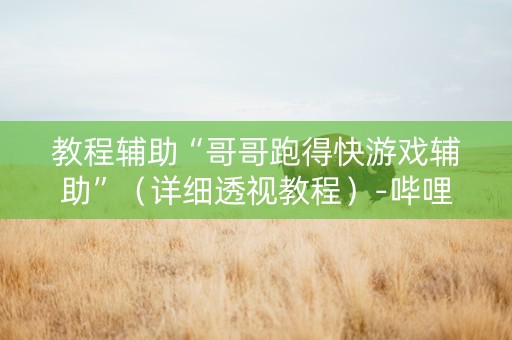 教程辅助“哥哥跑得快游戏辅助”（详细透视教程）-哔哩哔哩