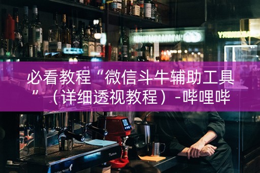 必看教程“微信斗牛辅助工具”（详细透视教程）-哔哩哔哩