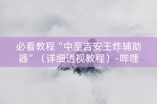 必看教程“中至吉安王炸辅助器”（详细透视教程）-哔哩哔哩