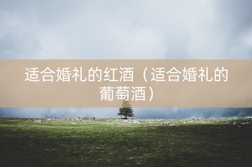 适合婚礼的红酒（适合婚礼的葡萄酒）