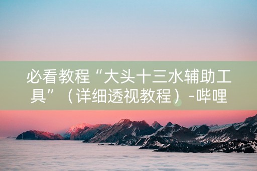 必看教程“大头十三水辅助工具”（详细透视教程）-哔哩哔哩