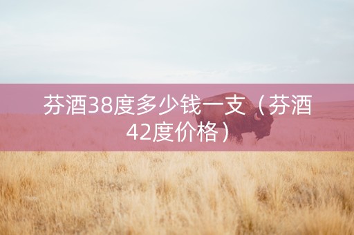 芬酒38度多少钱一支（芬酒42度价格）