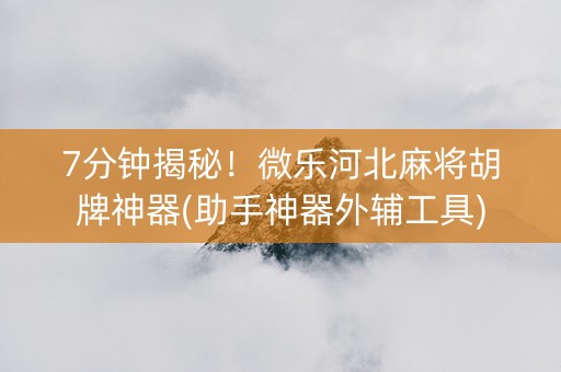 7分钟揭秘！微乐河北麻将胡牌神器(助手神器外辅工具)