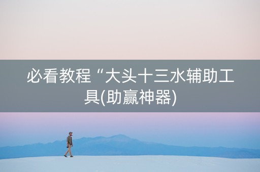 必看教程“大头十三水辅助工具(助赢神器)