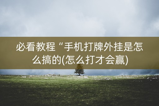 必看教程“手机打牌外挂是怎么搞的(怎么打才会赢)