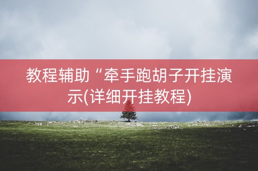 教程辅助“牵手跑胡子开挂演示(详细开挂教程)