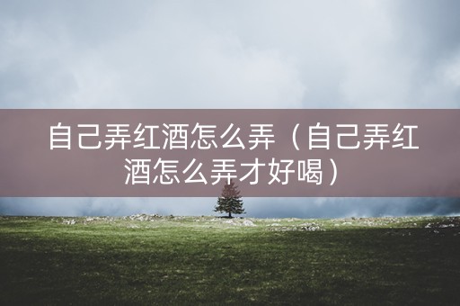 自己弄红酒怎么弄（自己弄红酒怎么弄才好喝）