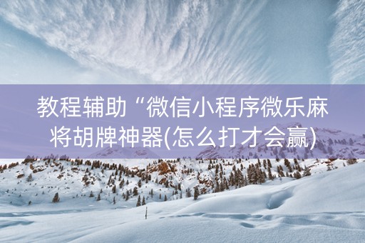 教程辅助“微信小程序微乐麻将胡牌神器(怎么打才会赢)