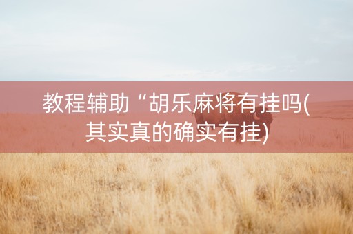 教程辅助“胡乐麻将有挂吗(其实真的确实有挂)