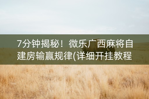 7分钟揭秘！微乐广西麻将自建房输赢规律(详细开挂教程)